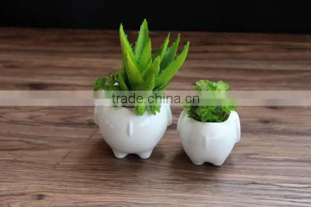 Indoor decor ceramic flower pots small white animal bonsai
