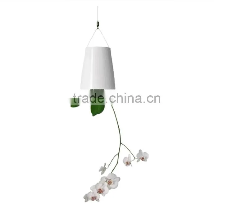 Plastic Sky Planter Creative Decorative Home Mini Sky Garden Flower Pot Beauty Sky Planter