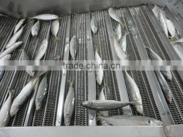 frozen mackerel whole round