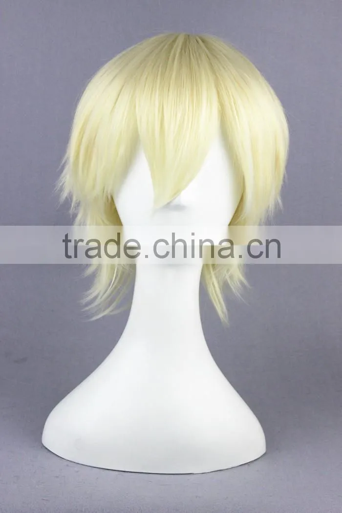 High Quality 35cm Short Straight Synthetic Anime Wig Cosplay Hair Wig Party Wig