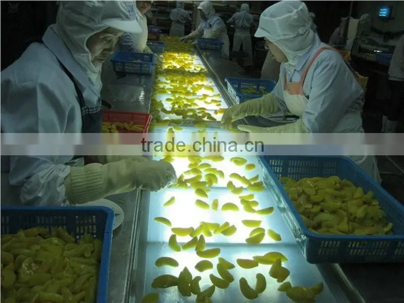 Stainless Steel Fruit Belt Conveyor Price