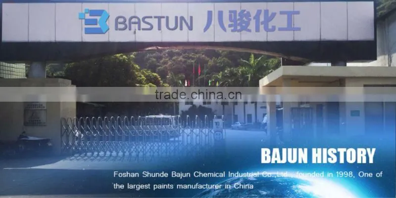 Foshan Bajun Chemical Industrial Co., Ltd. company overview - view 2