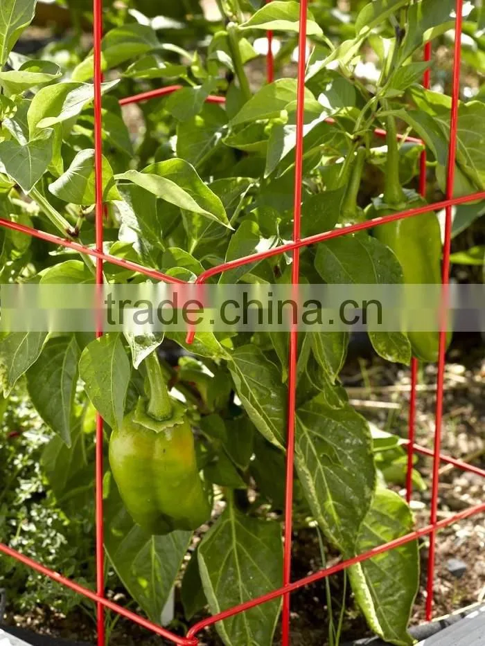 Folding plant tomato support cages