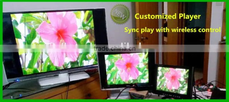 Lan sync advertising media player