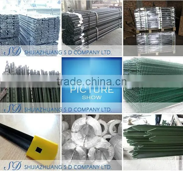 High quality nail from China supplier