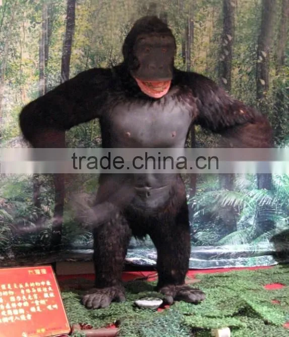 Simulation Animals Gorilla for Movements