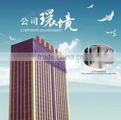 Luoyang Dongcheng Science And Technology Development Co., Ltd. company overview - view 2