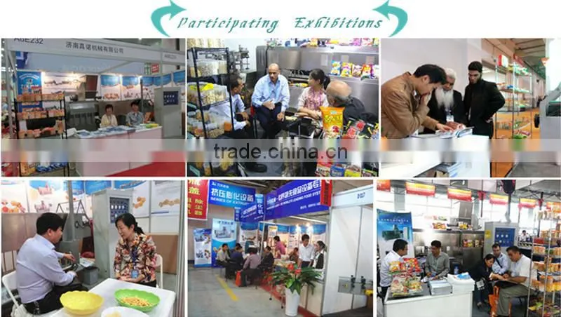 dry pet food pellet making machine/dog food processing equipment