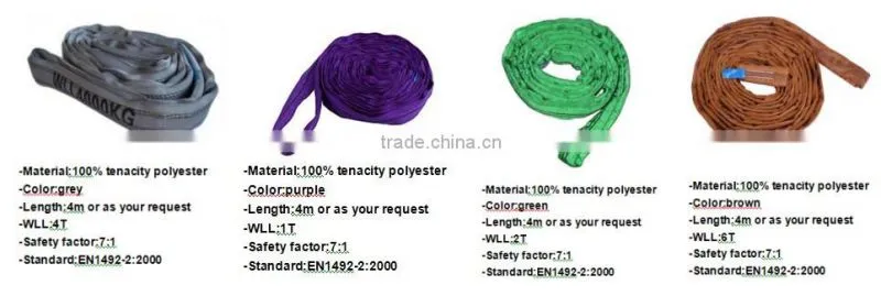 1T safety polyester webbing /webbing sling/round webbing sling with CE&GS