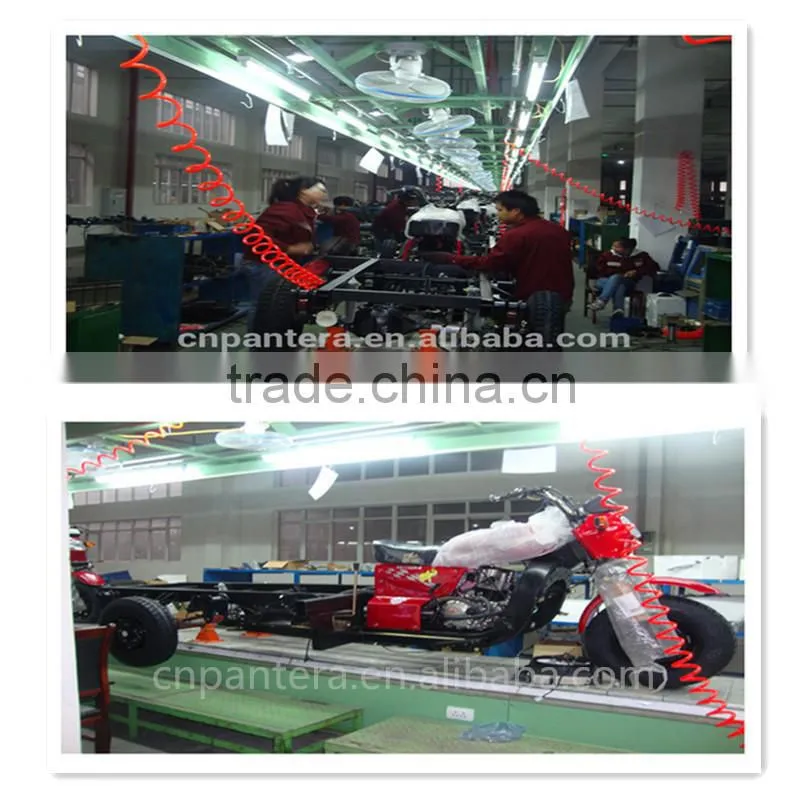 2016 New brand hot selling Adult Motorized Tricycle