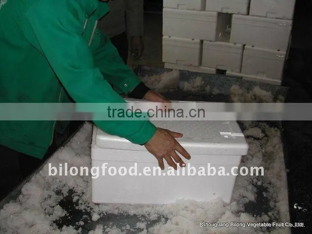 chinese fresh broccoli (11-13cm ) from new farm