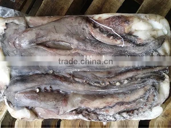 wholesale squid frozen giant squid tentacle