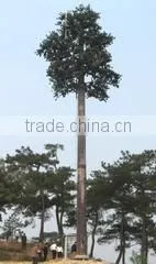 Zhejiang Hongshun Industry Co., Ltd. company overview - view 3