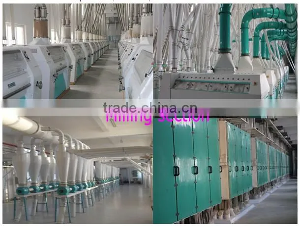 Steel Structural Wheat Flour Mill Complete Plant 50 Ton Per Day