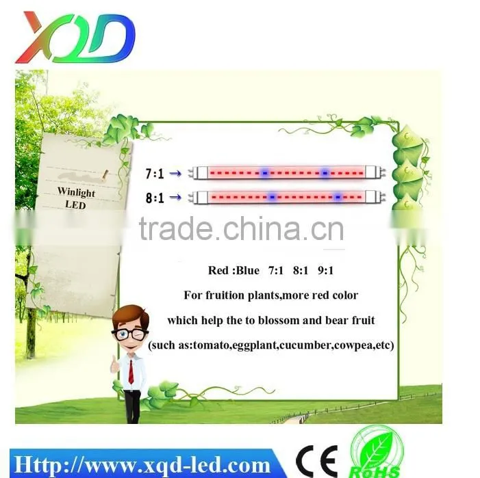 Indoor Gardening Lighting systems T8 LED grow light Bar LED grow light tube