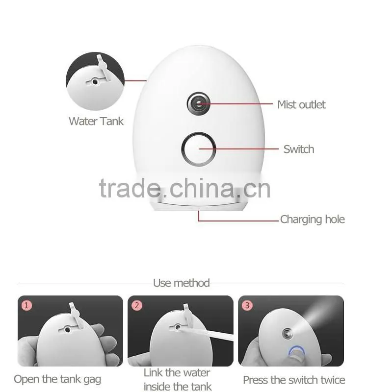 nanotechnology Skin whithening beauty steamer