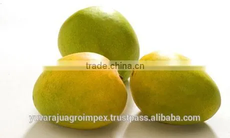 Fresh Alphonso Mangoes Exporters in India