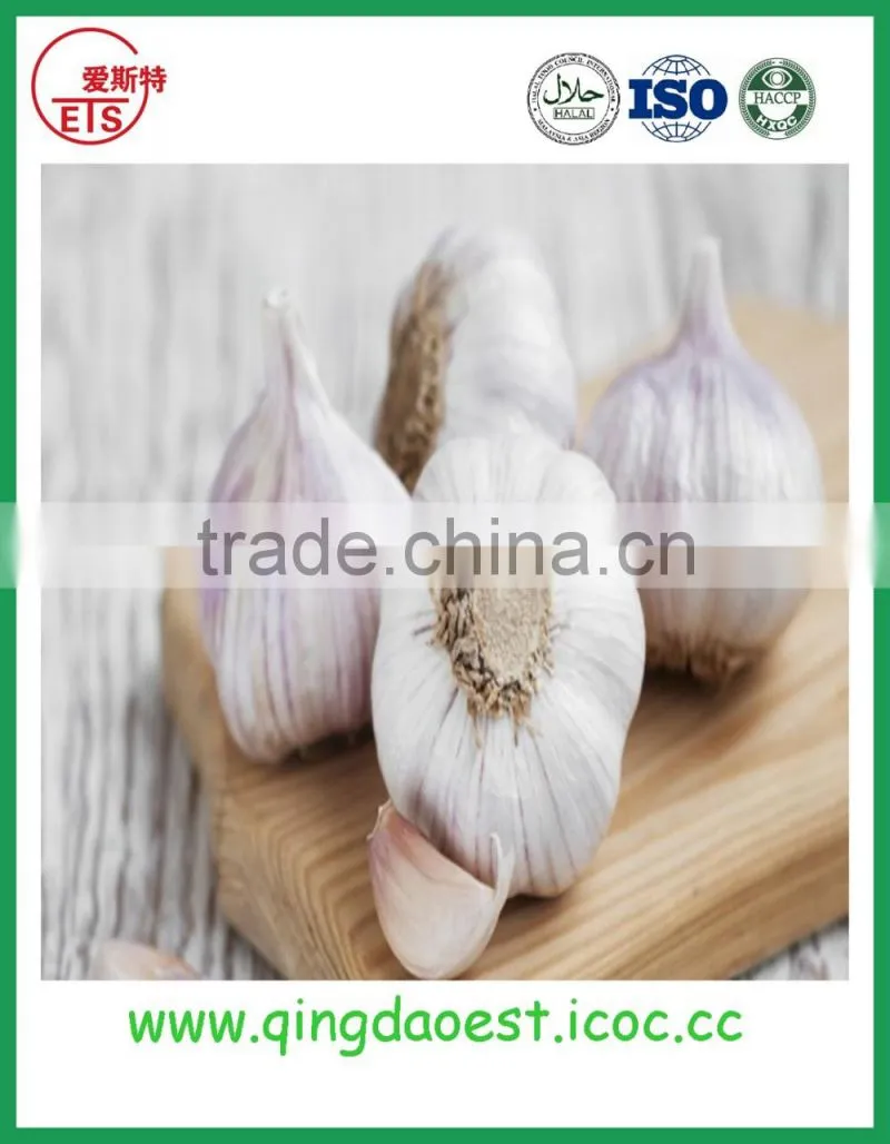 fresh white garlic size :4.5-6.0 cm