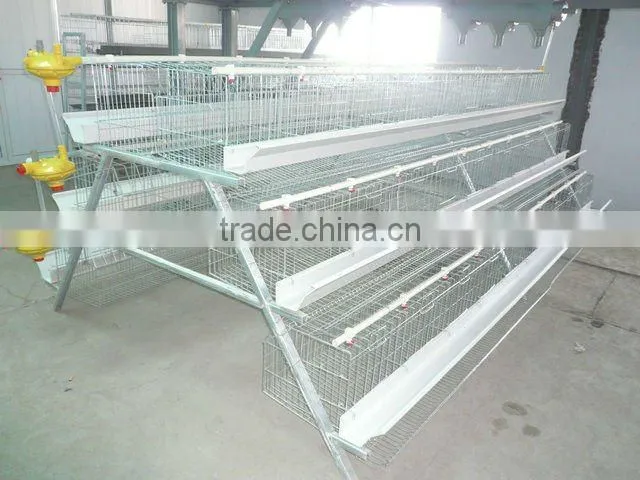 Baby chicken Hen House Cage for Nigeria growing layers