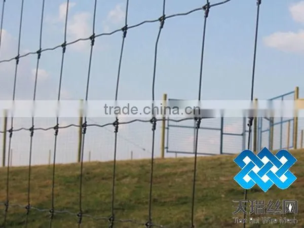 High Zinc Grassland Fence/Cattle Fence ( Factory)