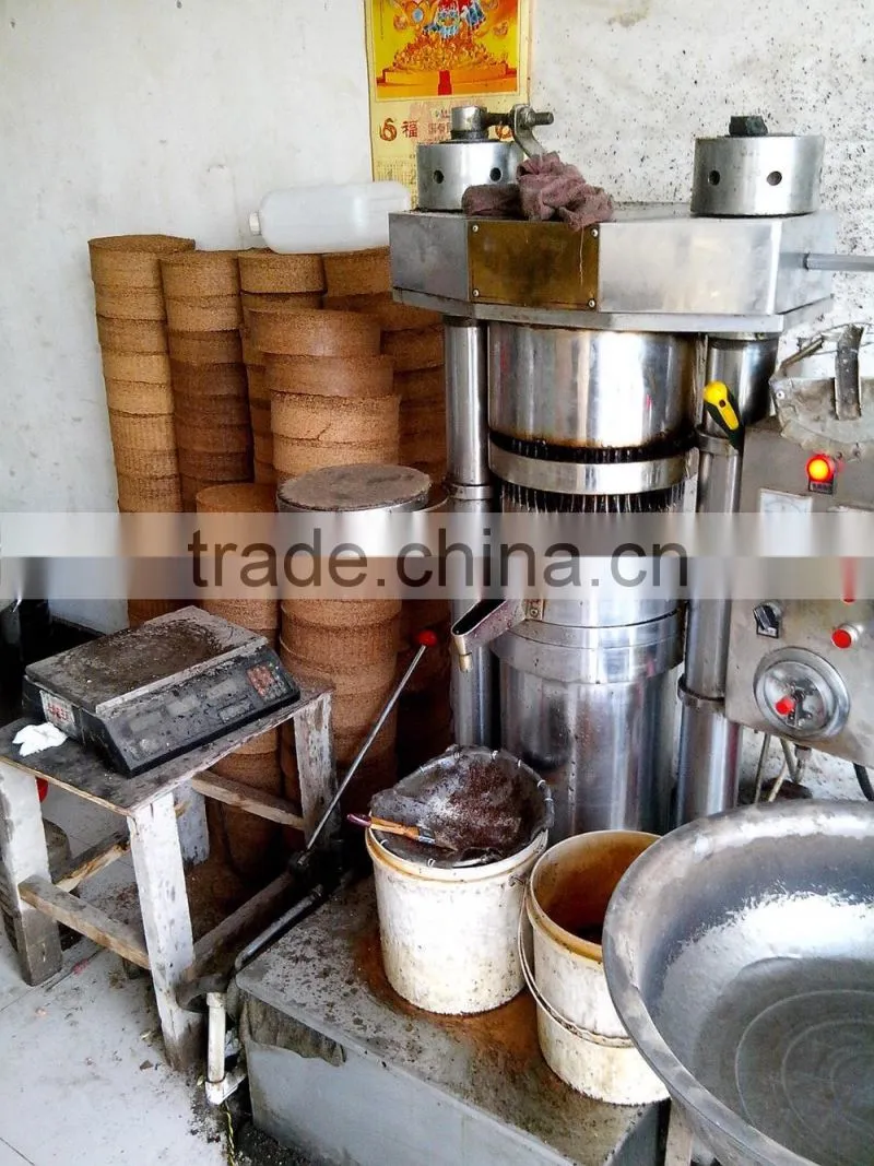 2017 high oil yield cold pressing walnuts oil extracting press machine