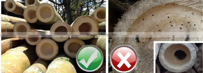 Carbonized Brown Decorative Bamboo Fencing Supplier