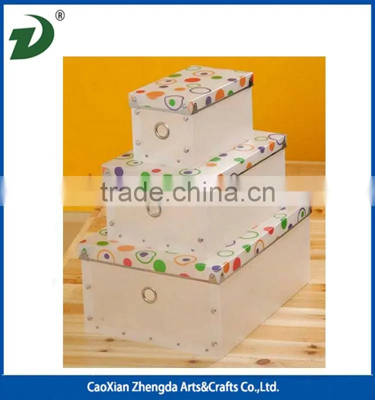 Plastic Shoe Storage Box