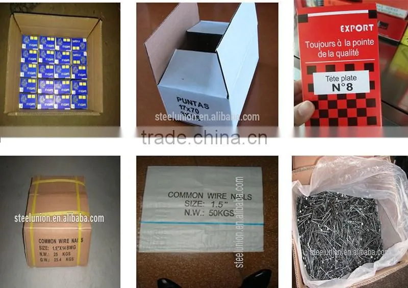 polish common wire nails