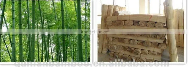 Natural bamboo sticks for diffuser