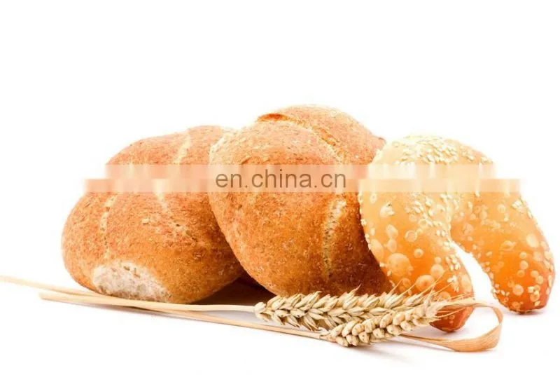 2016 new style convection oven/baking bread proofer