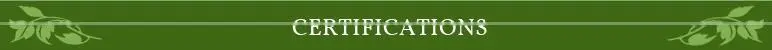 Healthy Additive Free Green Tea from Leading Wholesaler at Cheap Rate
