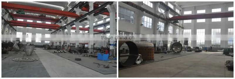 Belt vacuum powder continuous dryer for blueberry powder