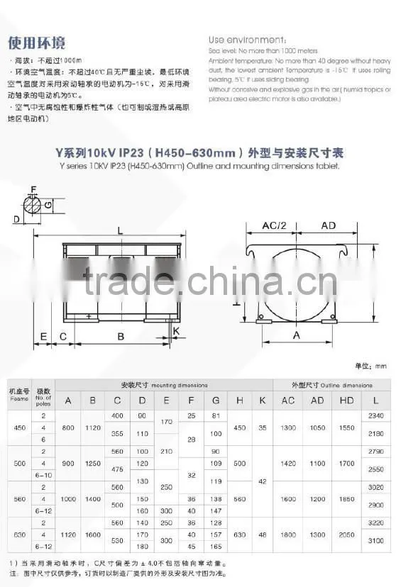 Y Series 10000V Squirrel Cage High Voltage three phase asynchronous motor (710-1000mm)