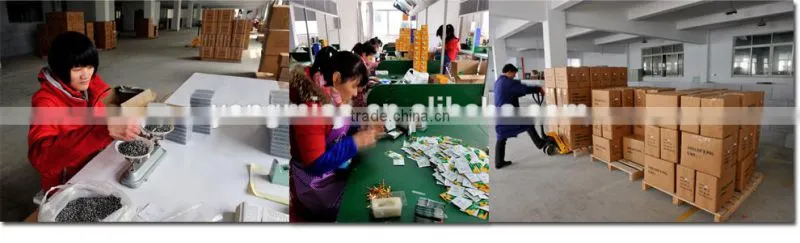 Boat rig type B wholesale fishing tackle