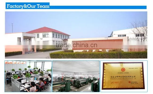 ele.galvanized wire (Manufacture& ISO9001)