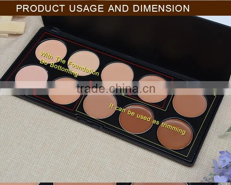 Cosmetic makeup 10 colors liquid license plate nipple gun cable scar concealers