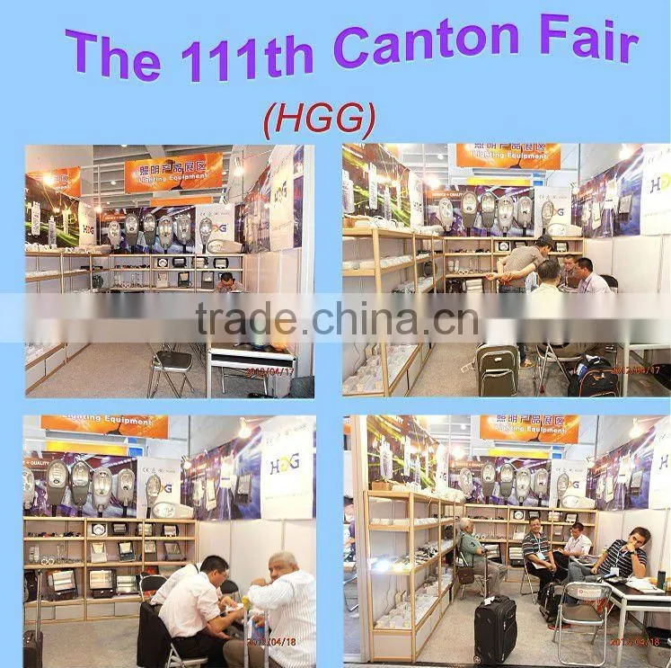 Electric ignitor for HID Lamp with cheap price Made in China