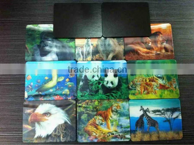 Lenticular 3D Magnet
