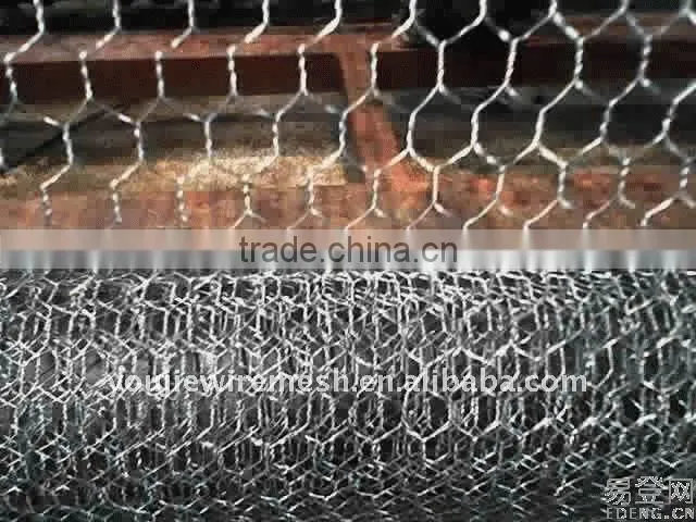 rolls hexagonal wire mesh(Youjie Factory)