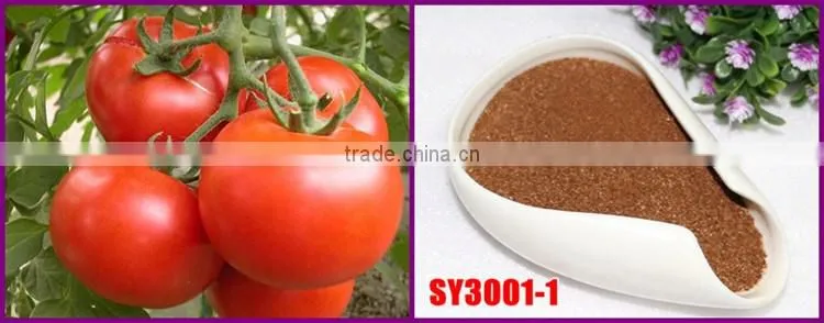 FAQ 39--What Kind Of Organic Fertilizer Can Be Used As Tomato Fertilizer?