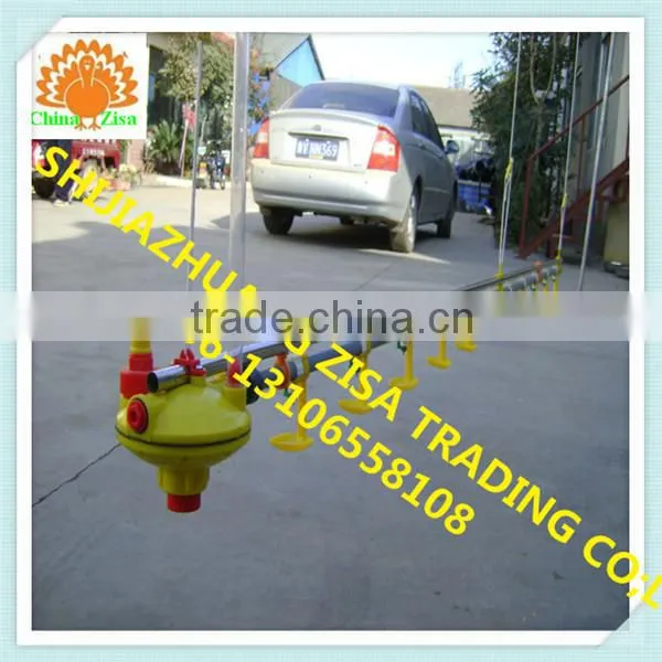chicken feeding line