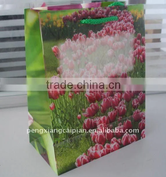 plastic handbag for daily life