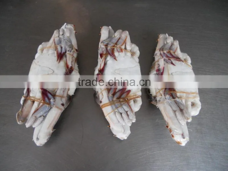 frozen blue swimming crab for sale