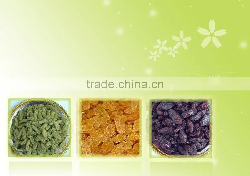Chinese Organic green raisin