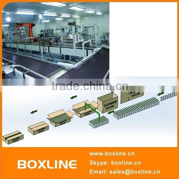 Packing Production Line with Serial Robot