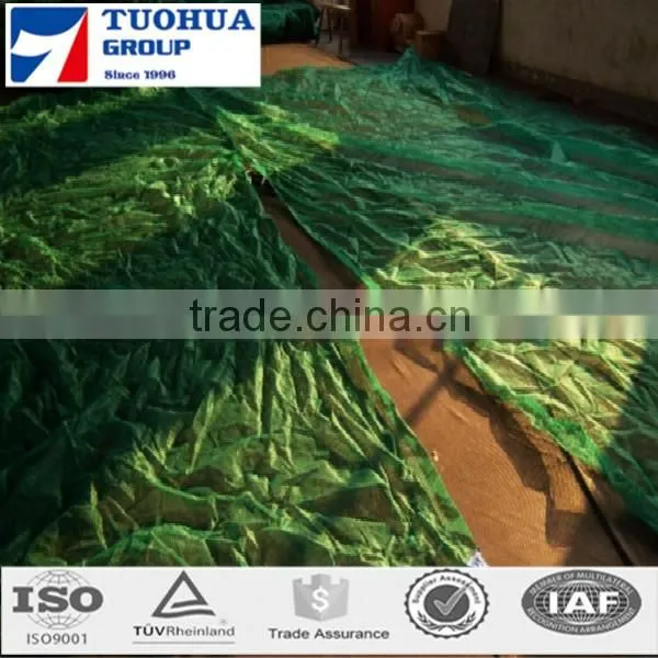 Olive Tree Nets in Harvesting