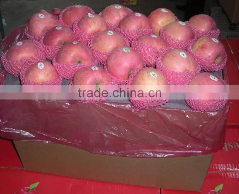new crop fuji apple
