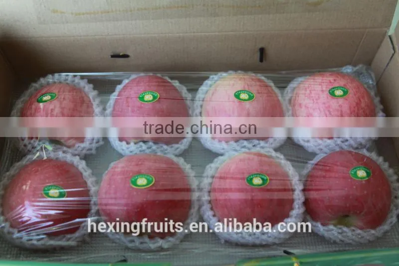 Matured apple fruits Variety and fresh fruits Type mature whole fuji apples