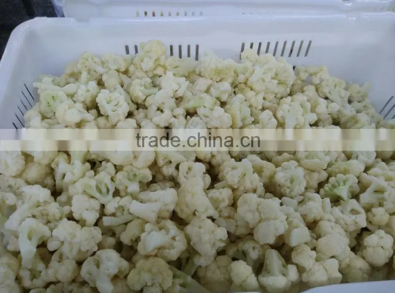 New crop frozen iqf cauliflower
