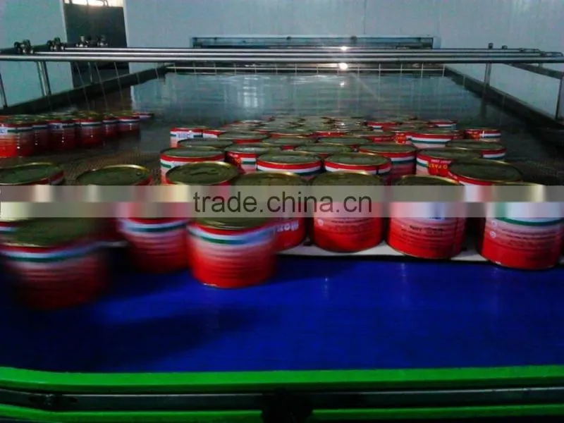 oem brand tomato paste ketchup sauce in china factory/manfacturer